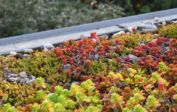 the cost of Aberlady green roof installation