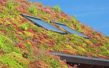 Aberlady living roof systems