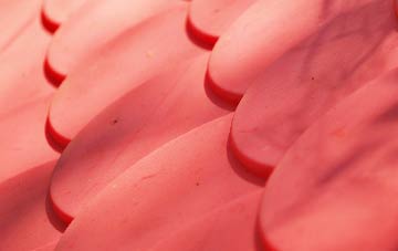 Aberlady plastic roof costs