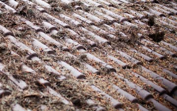 Aberlady roof cleaning companies